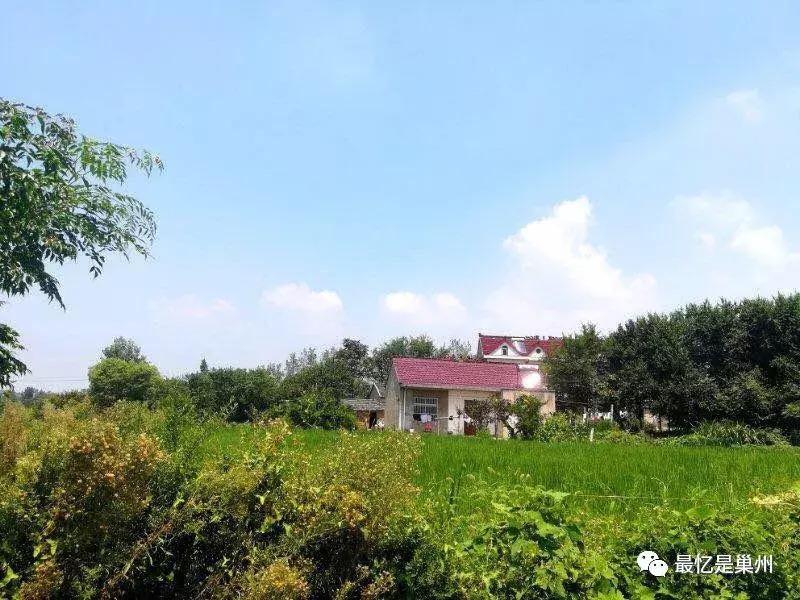 天南地北巢湖人——责任与担当