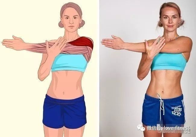 健身拉伸小技巧视频,健身拉伸的15个拉伸动作