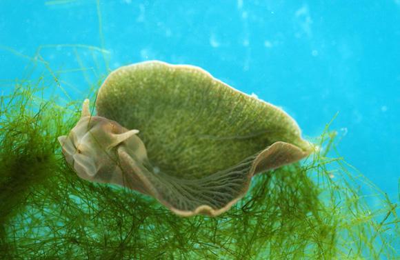 浜虹被涓栫晫鐨勭湡姝ｇ濂囧疂璐濆浘,涓栫晫涓婄湡鐨勪細鏈夌濂囧疂璐濆悧