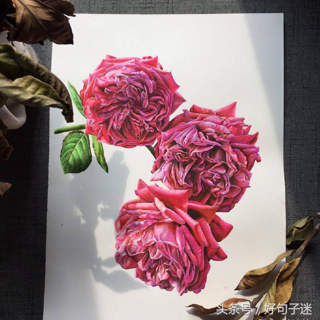 充满诗意的唯美句子图片,优美有意境的句子