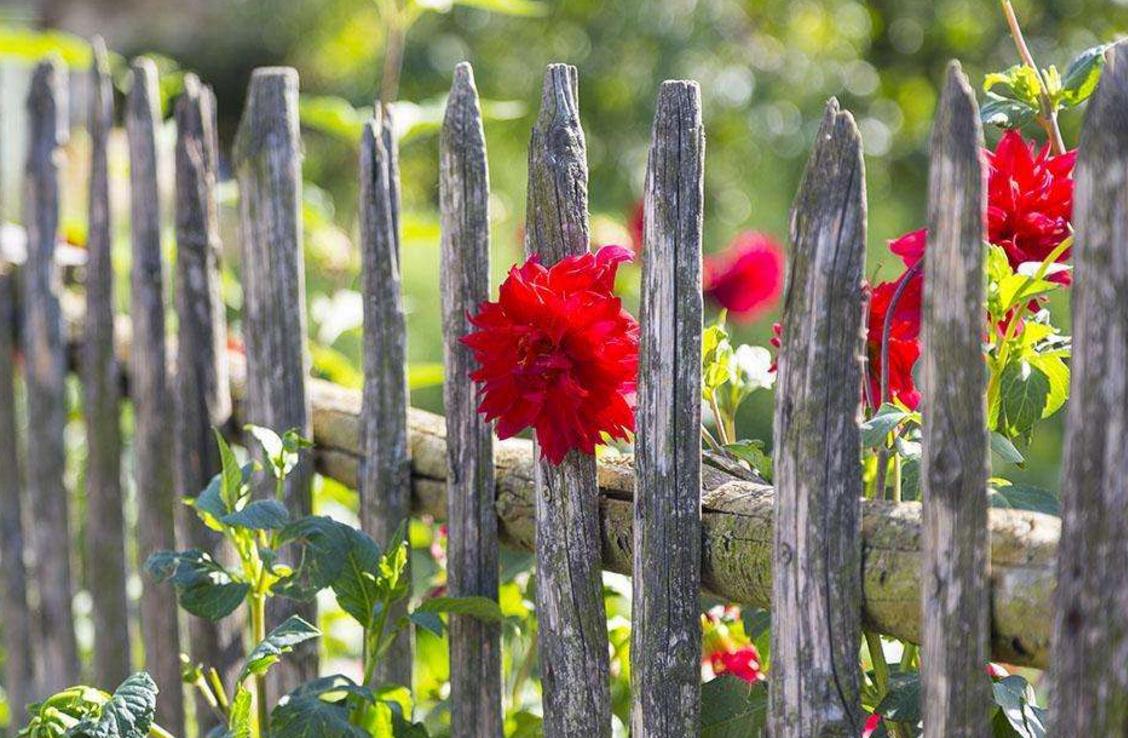 命苦的人要怎么做,走出心灵的低谷感悟