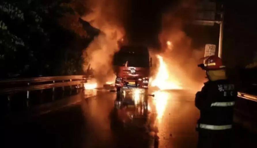 驴受惊一脚踢烂百万豪车,驴被狗咬受惊踢坏豪车