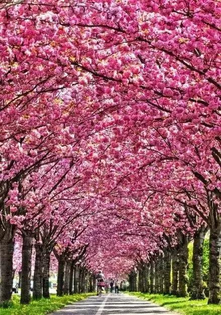 这座低调的宝藏小城去100次都不腻,这个低调的四川小城