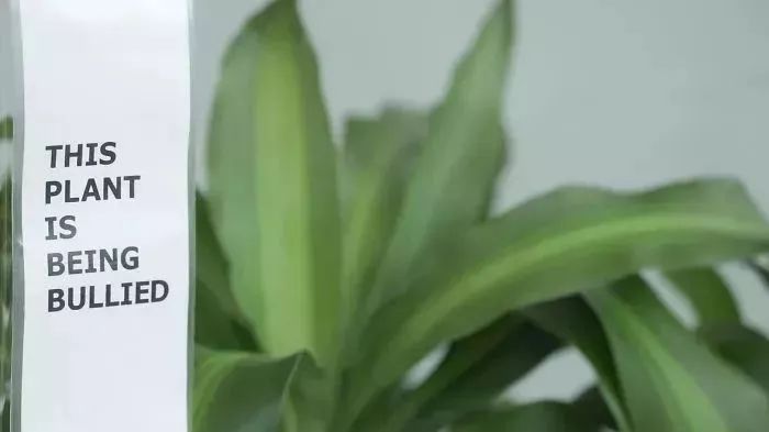 这一回，宜家开始“虐待”植物了！30天3D循环辱骂，活生生把植物给“骂枯”！
