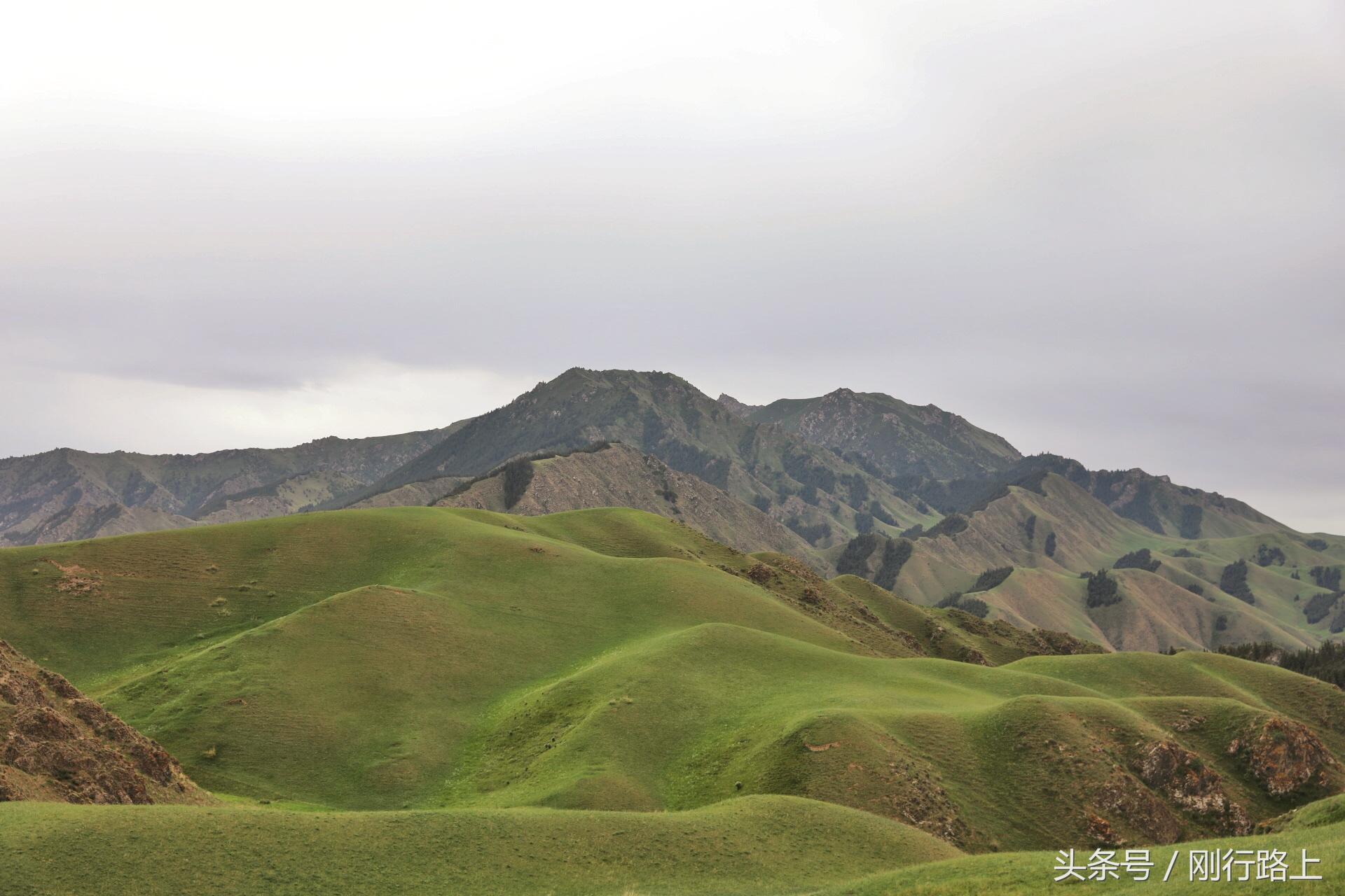 甘加草原和康乐草原,康乐大草原风景如画
