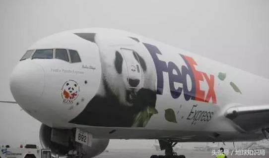 美帝再牛逼，遇见熊猫也得吸？地球知识局