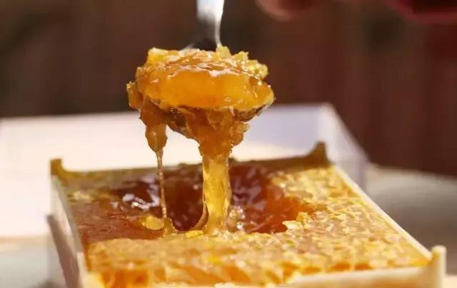 浙江最南端一座低调又迷人的小城,浙江最美隐世小城