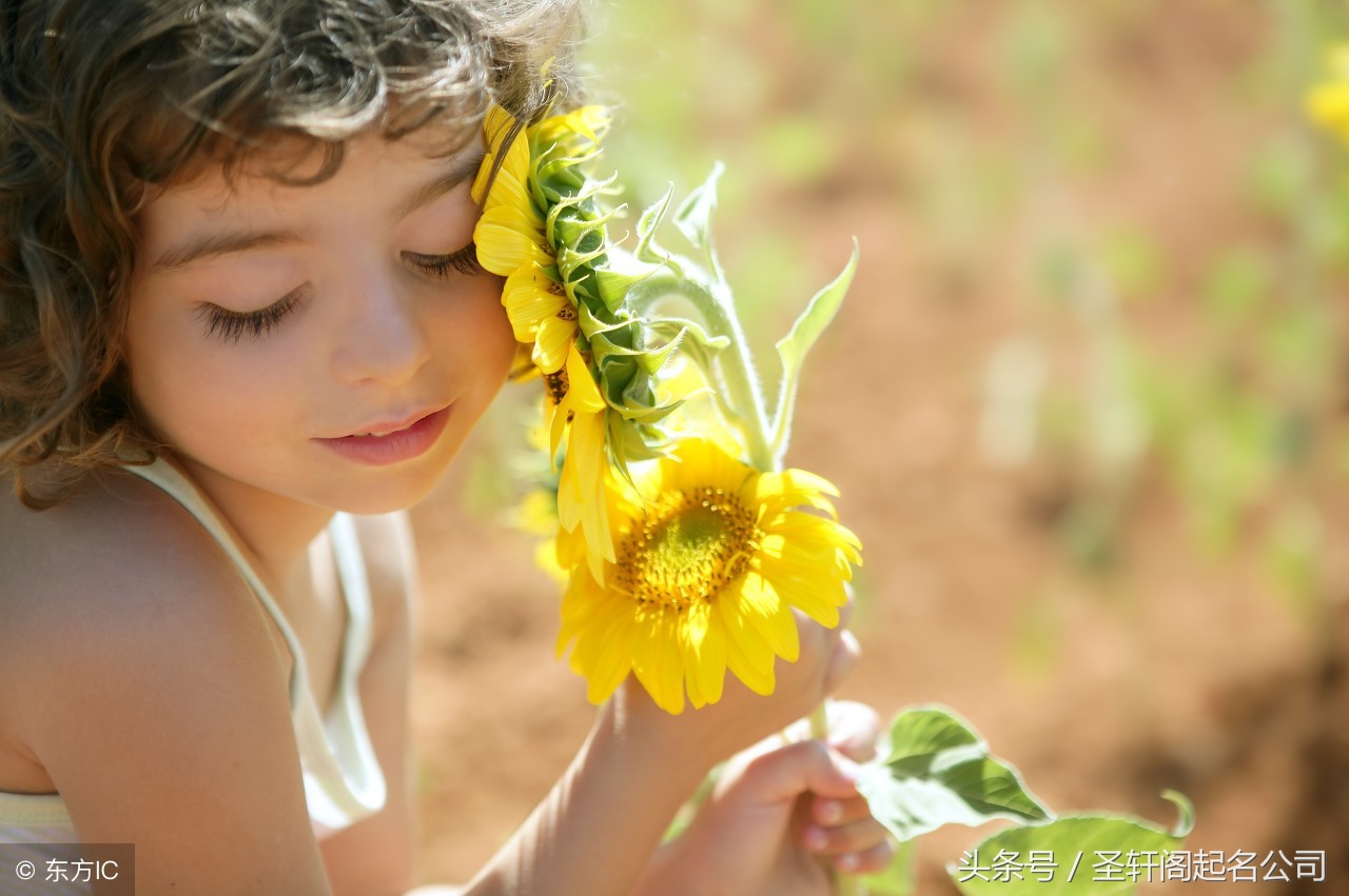 带草字旁的女孩名字大全,带草字头的女孩名字诗经