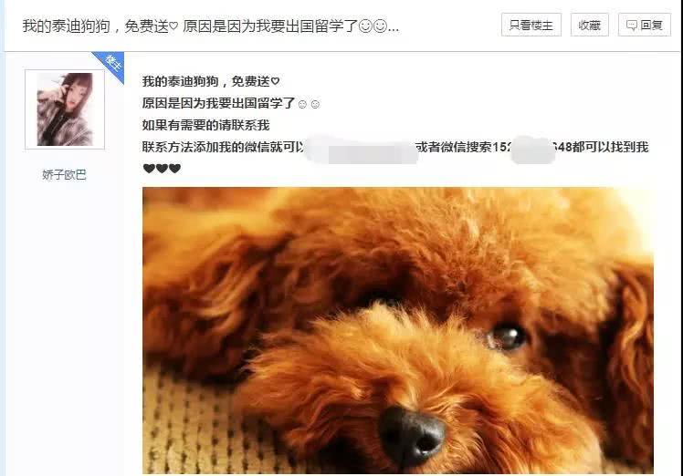 网赚引流最佳渠道,网赚粉丝引流话术