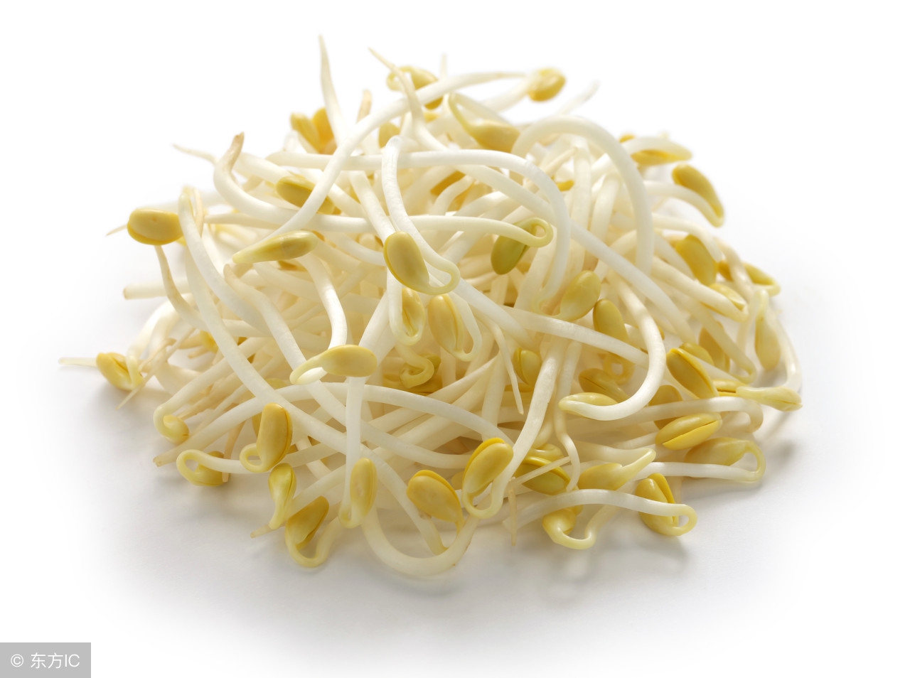 长期吃黄豆的好处和坏处,黄豆有什么好处啊