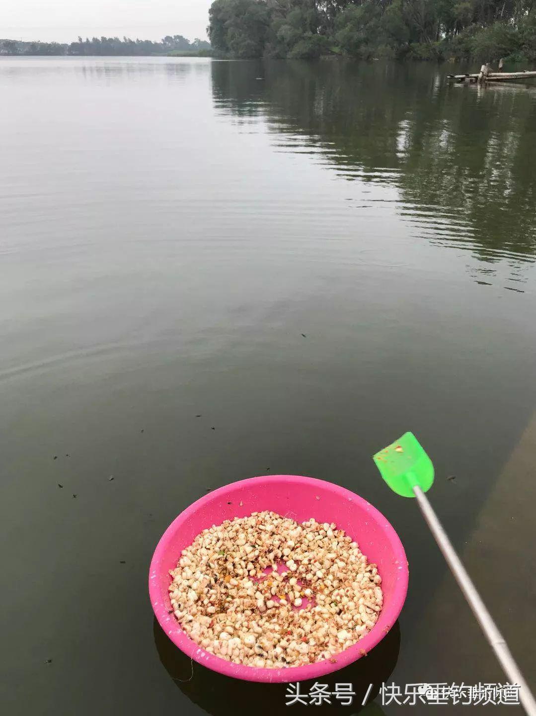 河蟹闹窝怎么钓鱼最好,河蟹闹窝怎么办