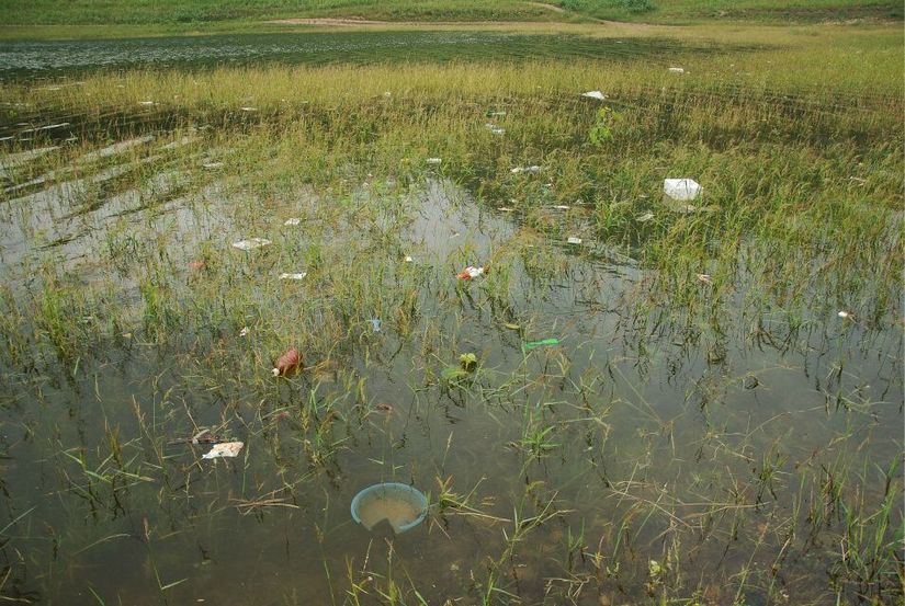 垃圾的烦恼,垃圾带来的烦恼