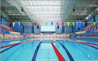 喜迎省运,喜迎省运会活动