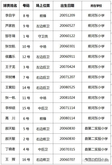 和平精英杯赛事,和平精英和平杯总决赛