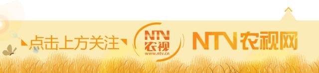 非农户口土地确权最新政策,非农户口农村房屋确权能否登记