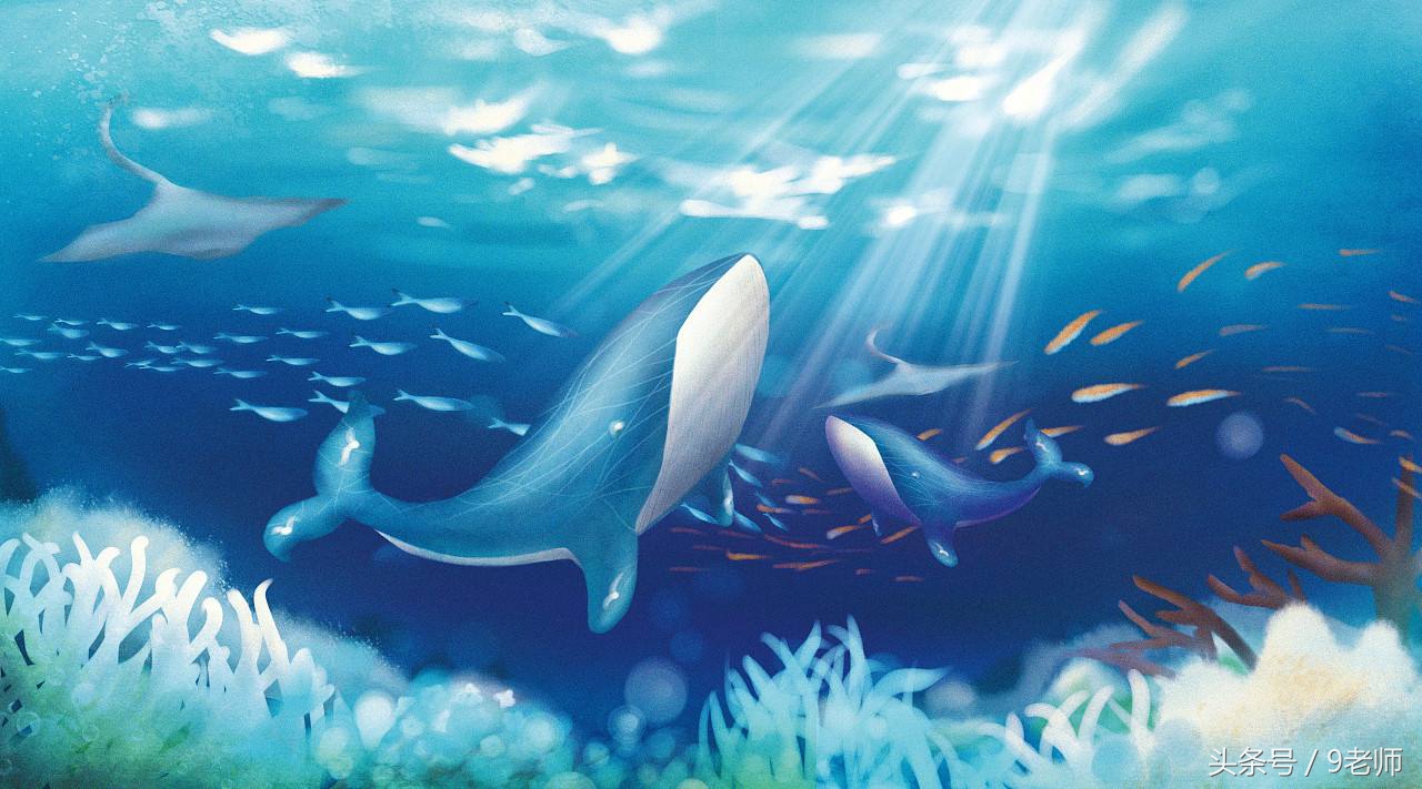 半夜发来一条短信，究竟是短信内容太真实还是我多思