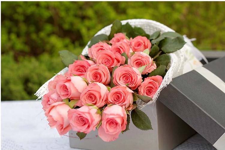 送花怎么选择合适的花,送花的意义在哪里