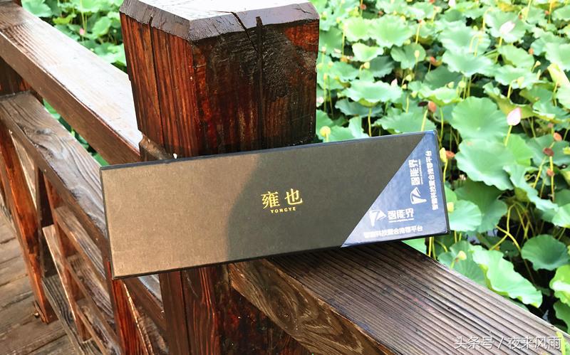 低调且不失奢华的手表有哪些,哪款手表不奢华但是有品位