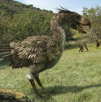 地球史前十大奇葩动物,地球远古动物大全