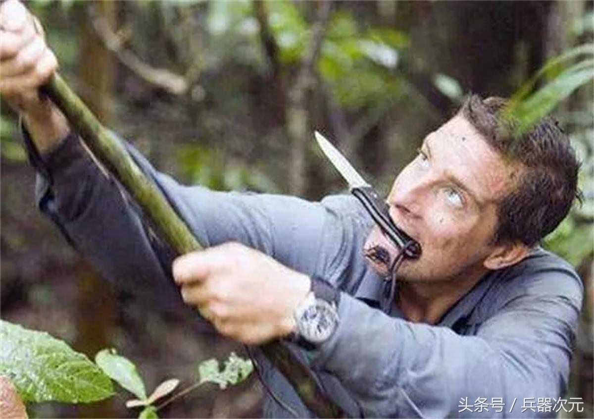 北极荒野求生100天携带哪些装备,荒野求生装备组合大全