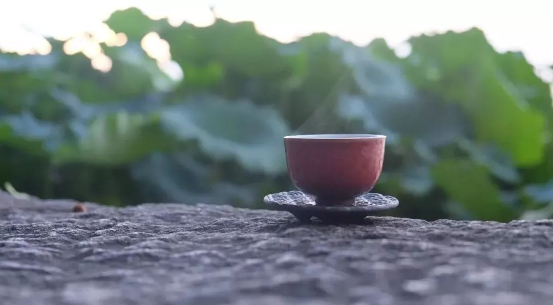 茶有金花还能喝吗,茶里的金花是怎么回事