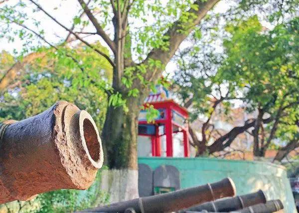 广州值得去的湿地公园,广州湿地公园拍摄