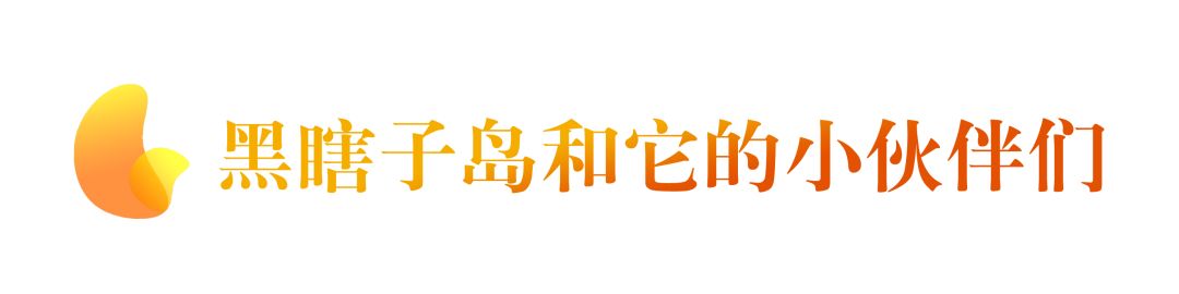 看日出、逗黑熊……从抚远出发穿越“两极”