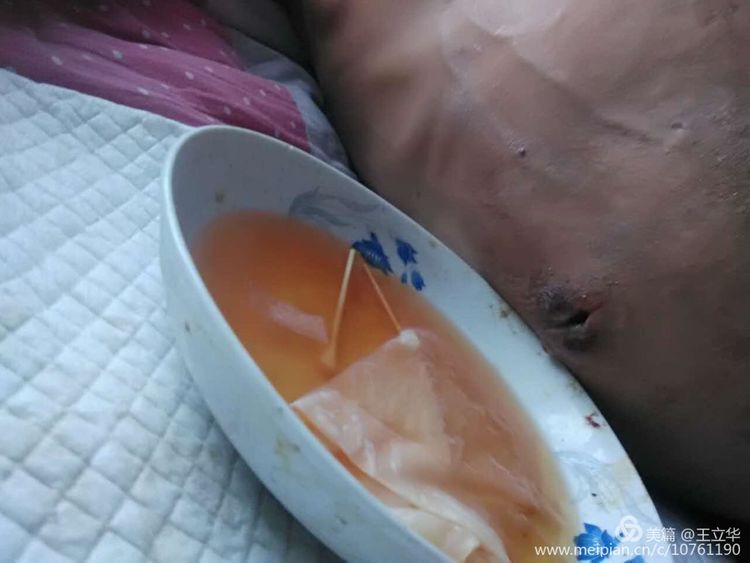 王立华王大亮,王立华温铁军