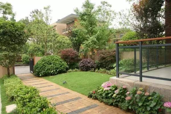 草坪该如何养护管理,楼顶花园草坪选择哪种比较好