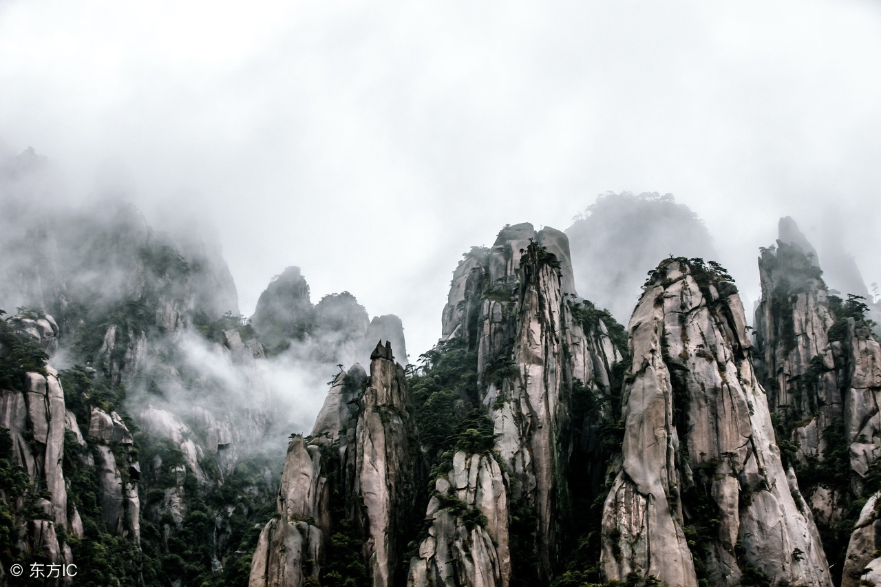 涨知识为孩子收藏,涨知识建议替孩子收藏