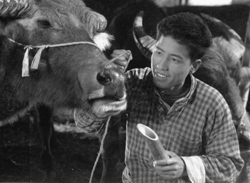 电影往事张艺谋,铁道游击队电影小坡扮演者冯笑