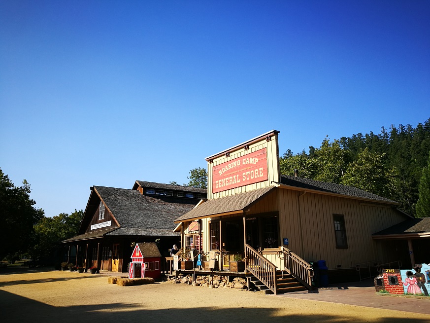 原始森林房车游记,红杉林房车自驾游