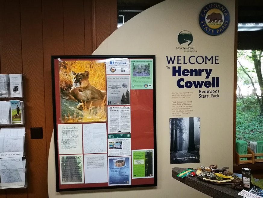 原始森林房车游记,红杉林房车自驾游