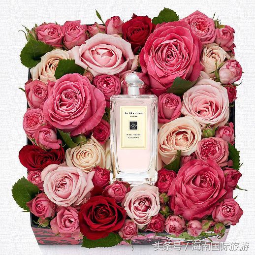 三亚国际免税城活动,三亚免税城购物狂欢季