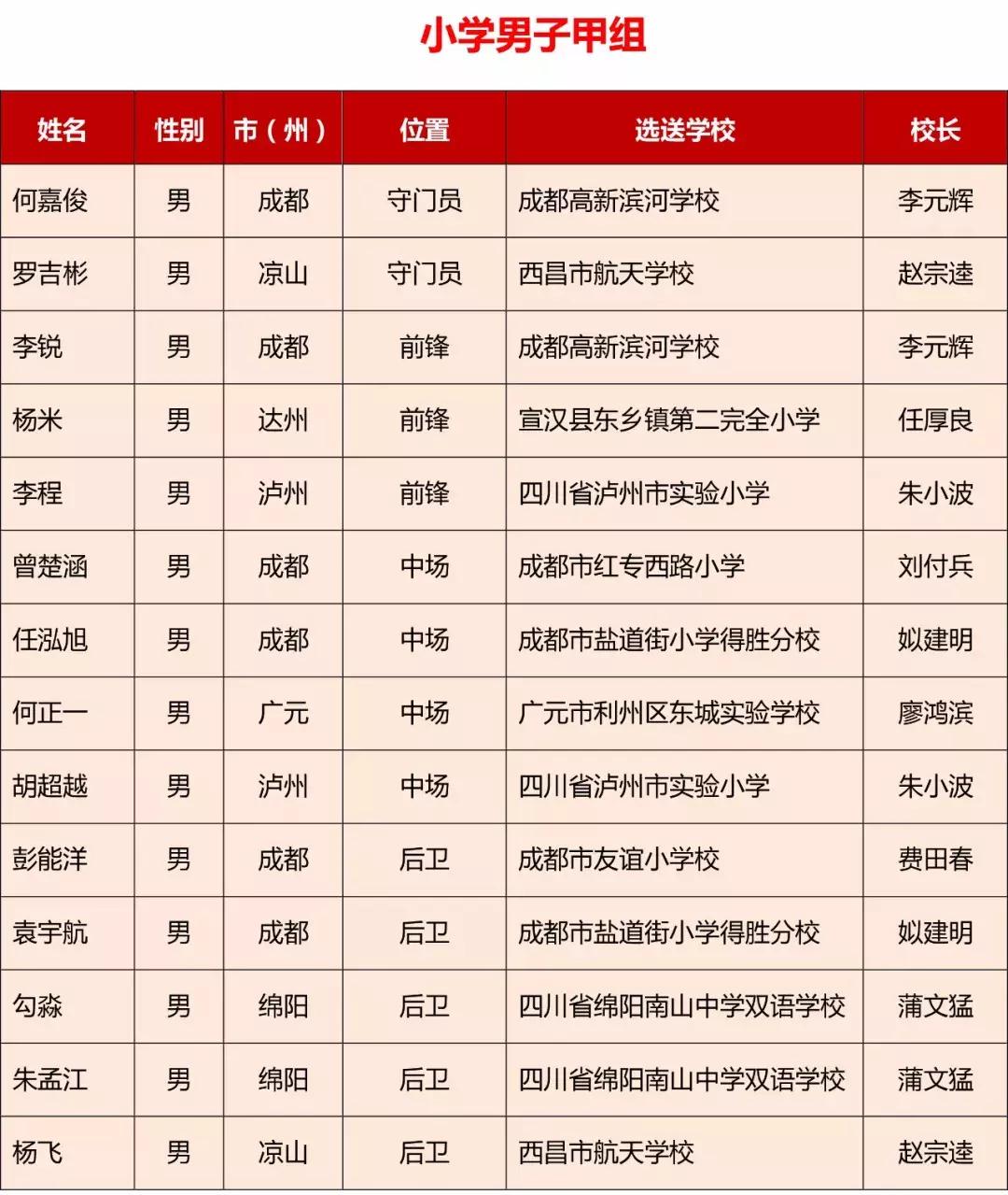 四川省青少年校园足球,四川足球省队青少年名单