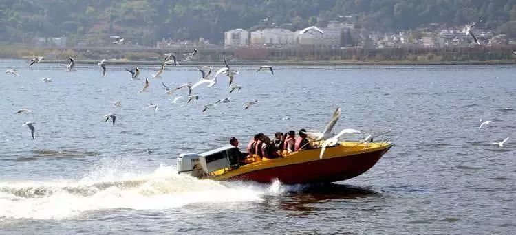 昆明情侣一日游的最佳景点,昆明情侣打卡景点排行榜