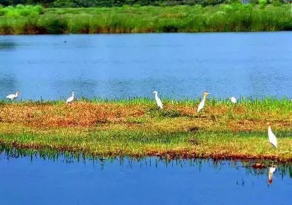 香港旅游攻略必玩的景点优秀4篇,香港必打卡景区