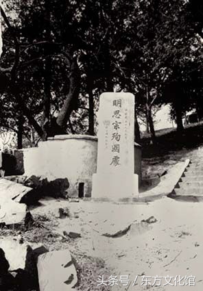 明朝各王世系,明朝的宫廷世系图