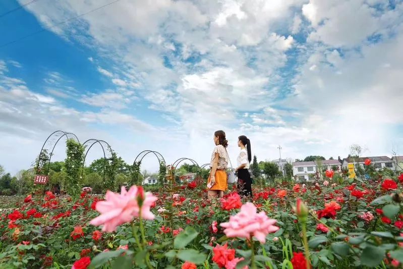 我想要带你来浪漫的大浏阳,然后一起去看星星和漂流……