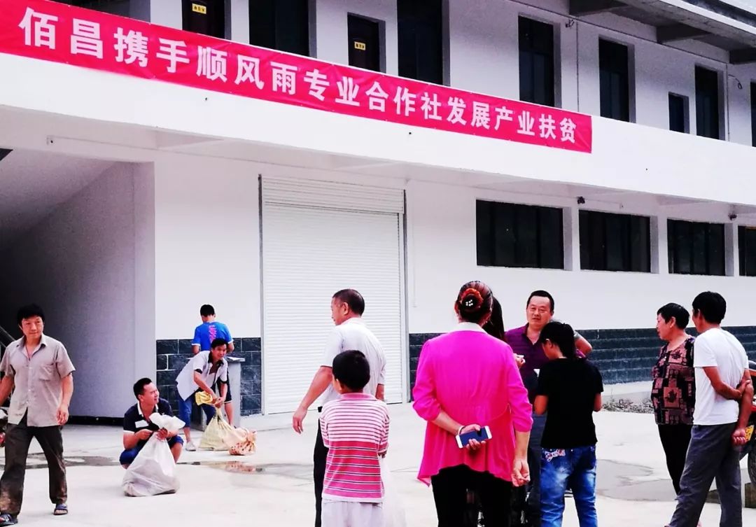 微新闻优秀作品,好风凭借力好雨知时节