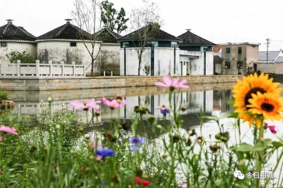 注入“文化”底色，相城打造文产融合新业态！