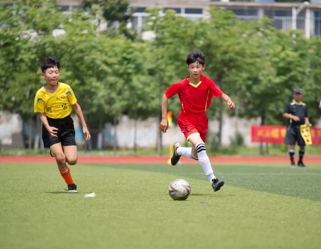 阜南县最好的学校,阜南市最好的学校