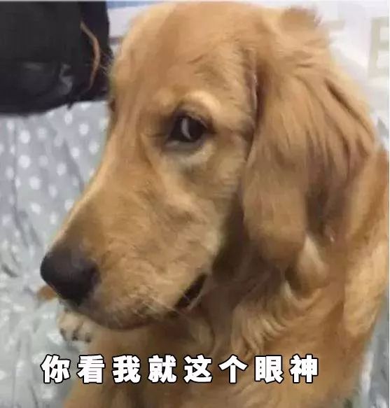 干洗店的心酸,洗衣店值得做吗