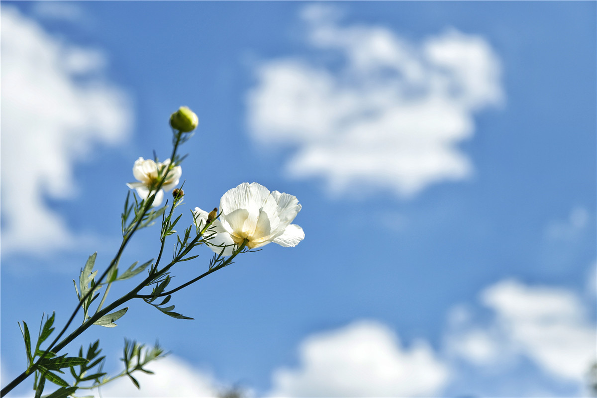 新手入手佳能全画幅6d2,eos6d全画幅