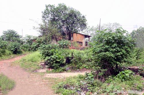 绘画技法与创作指南完整版,绘画色彩技巧大全