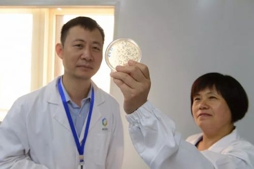 诺安百特生物技术有限公司,诺安百特新药