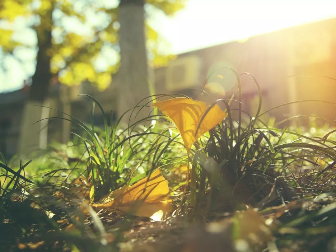 七夕特辑爱你是我不变的承诺,七夕特辑这才是爱情最好的模样