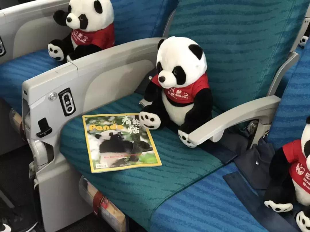 大熊猫为什么成为供品使者,大熊猫为什么受世界欢迎