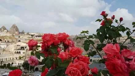 土耳其里拉暴跌50%会怎么样,土耳其的里拉为什么大跌