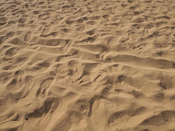 椴呴奔姘撮ズ闈掑矝宕傚北,宕傚北椴呴奔姘撮ズ